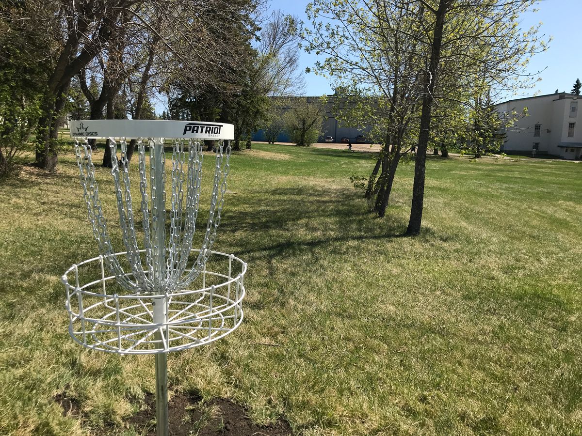 Dynamic Discs Patriots