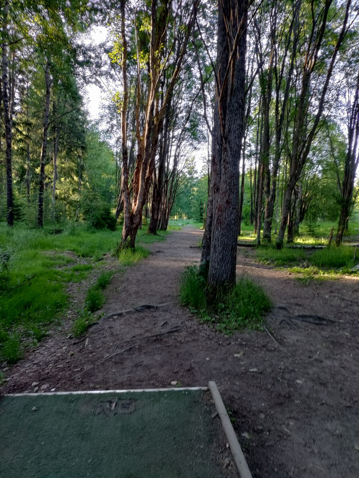 11 väylä
