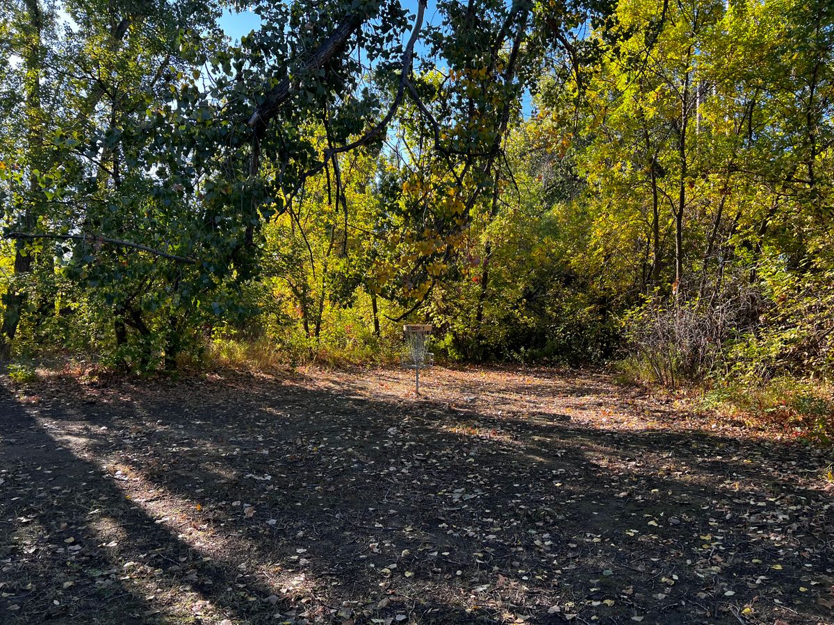 Basket Hole 1/10