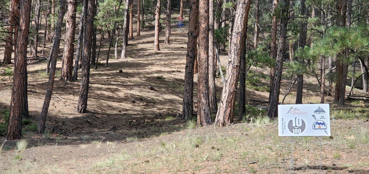 Hole 10, all uphill. Fun times!