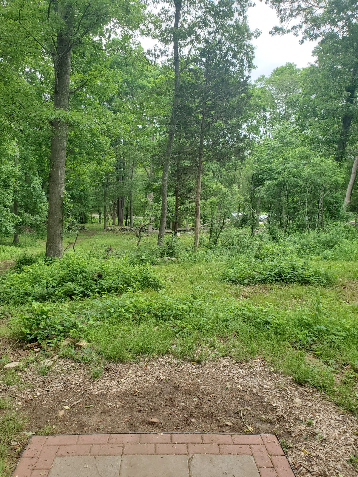 Hole 12