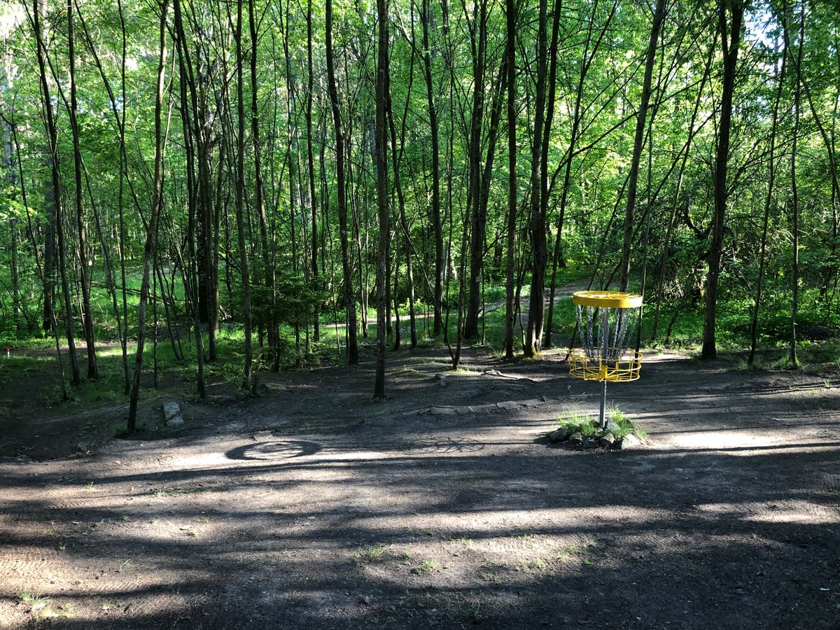 Hål 8 green