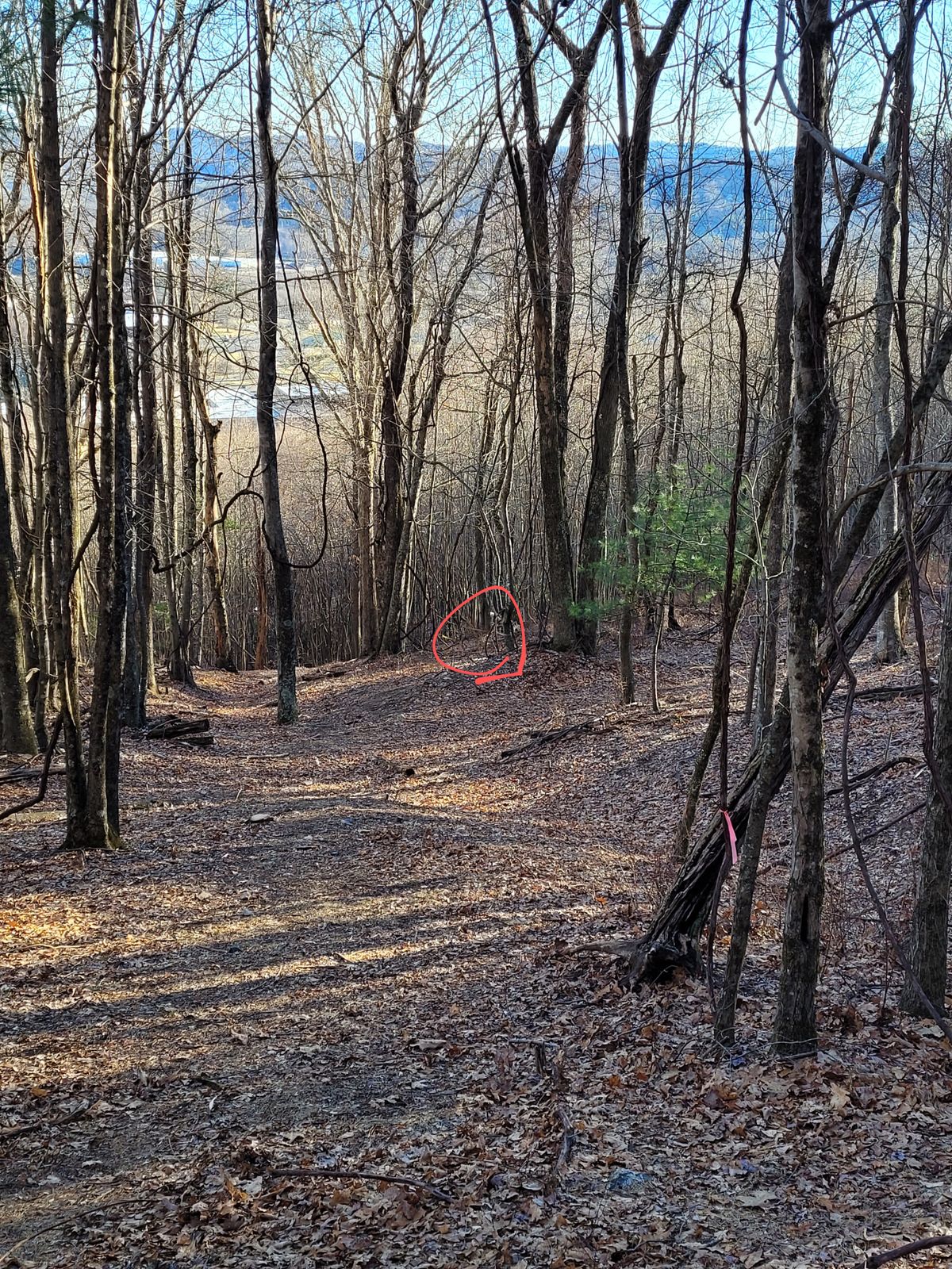 Hole #16 from pad