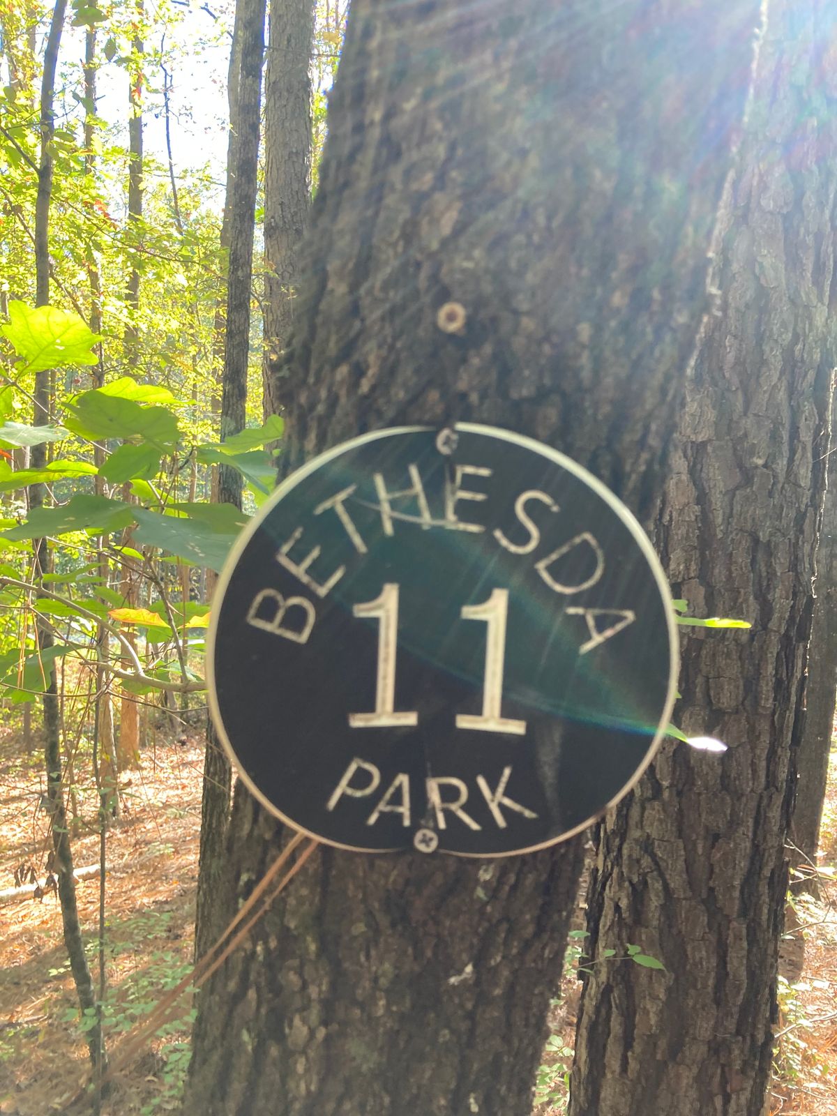 Hole 11
