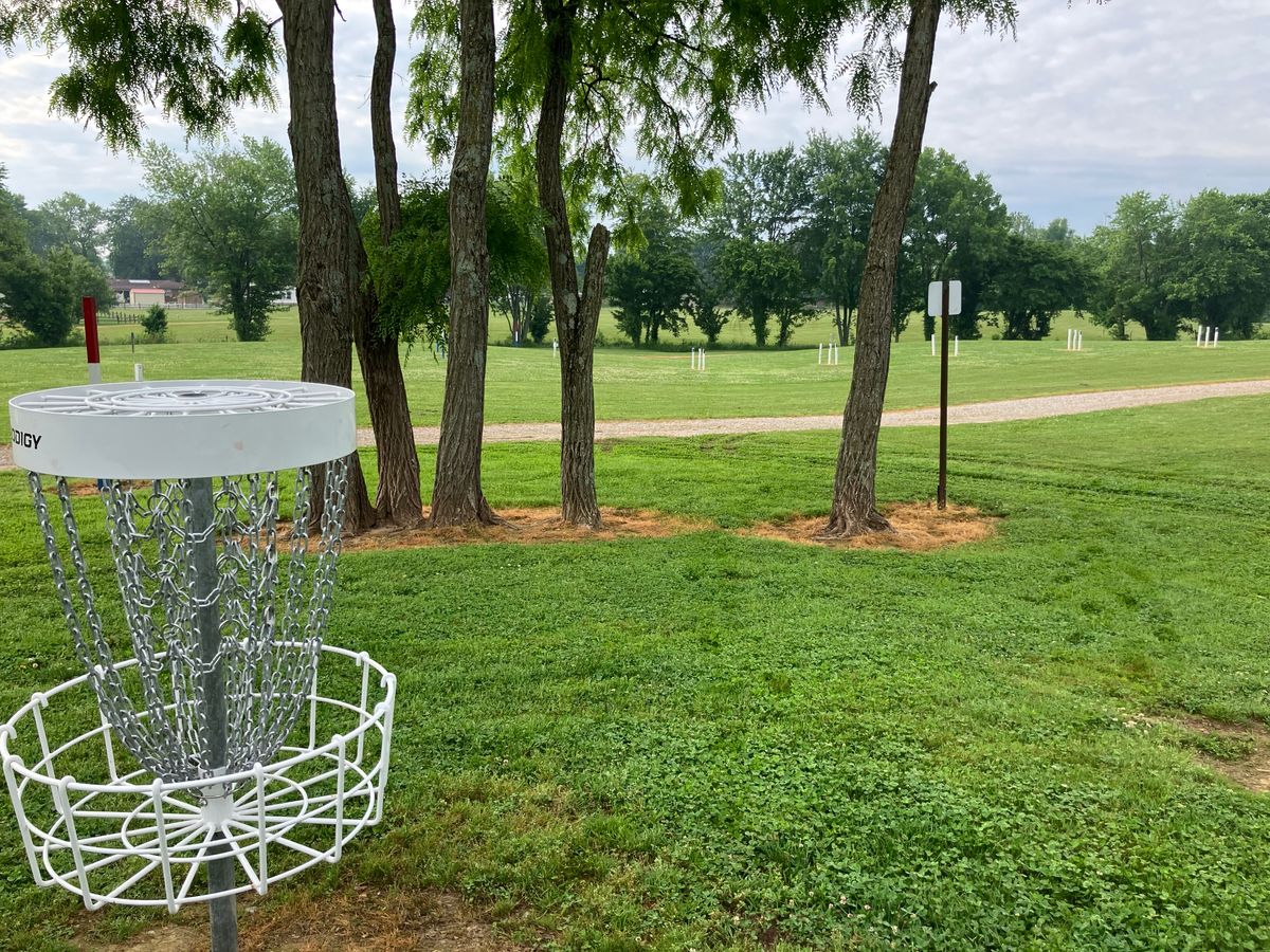 Hole 7 basket looking at the box.