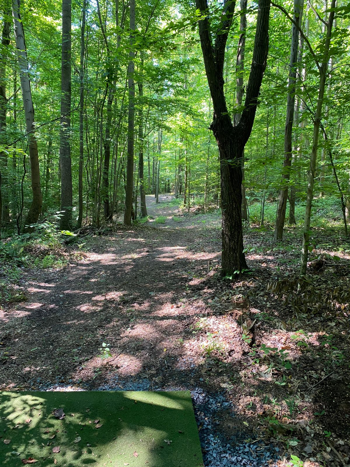 Hole 4 Tee