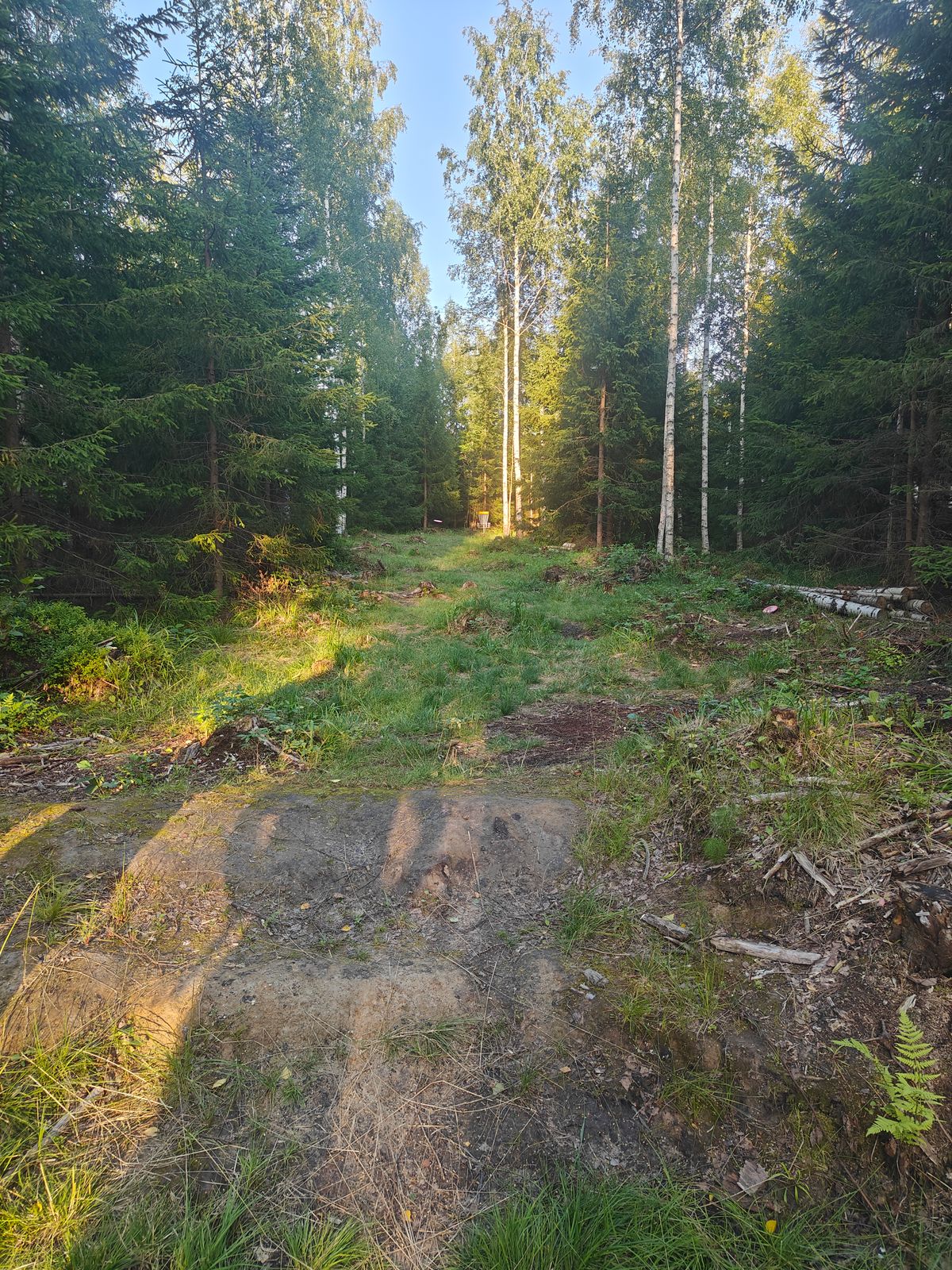 Väylä 13# noin 40m korille