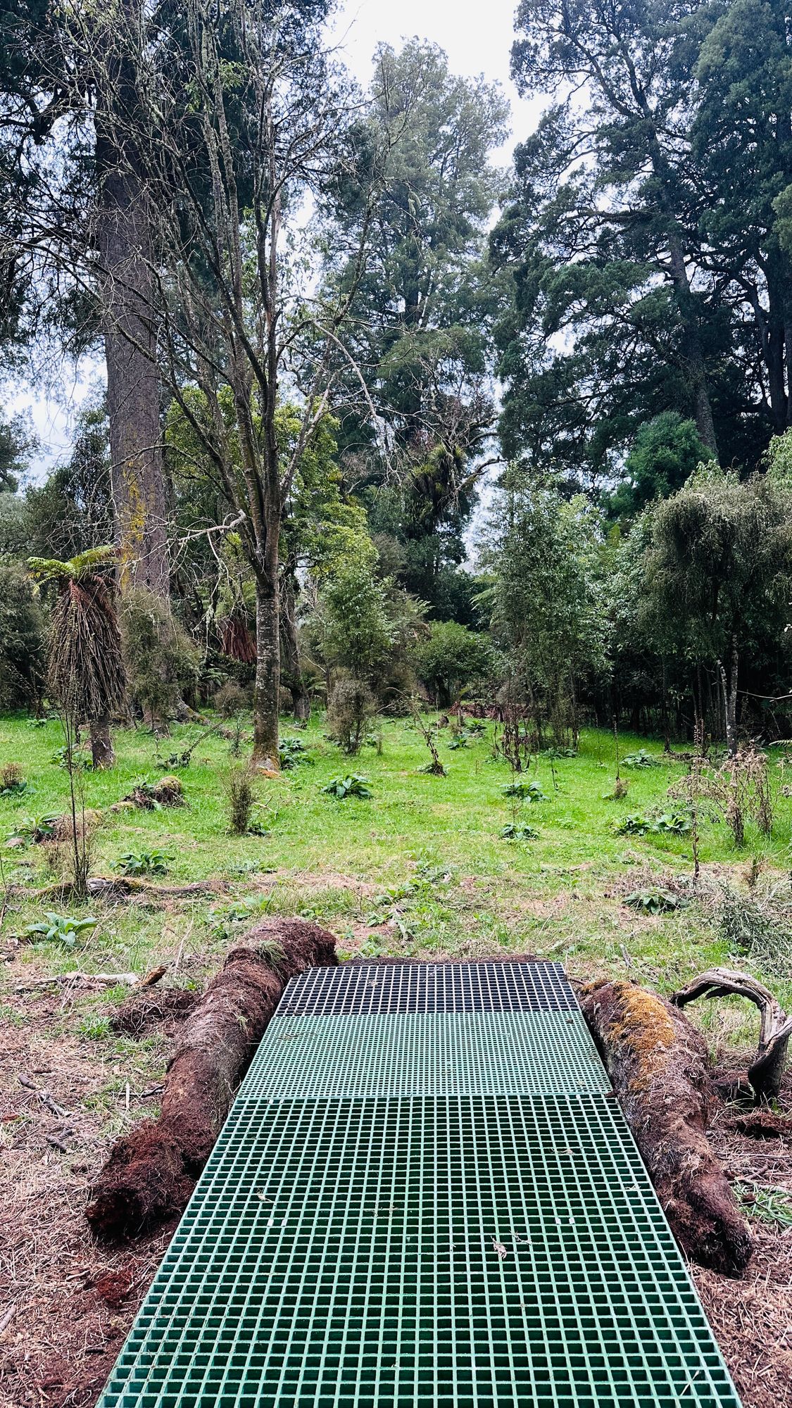 Disc Shop NZ - Proto-Tee Pad #6