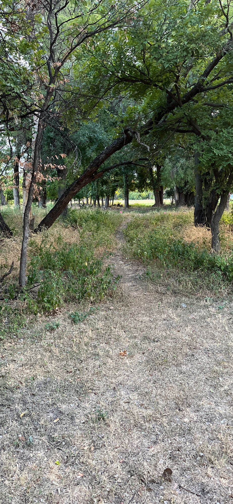 From the tee on 3. Basket is down the tunnel and to the left.