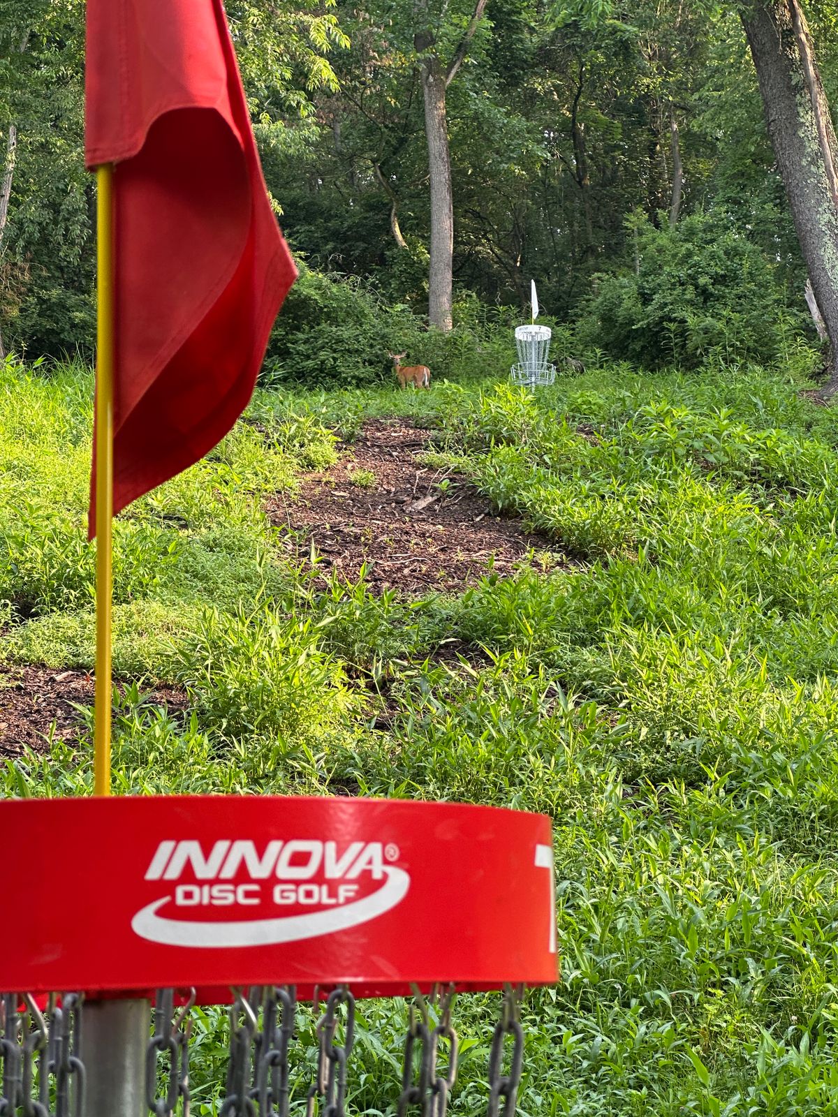 🦌 on Hole #7
