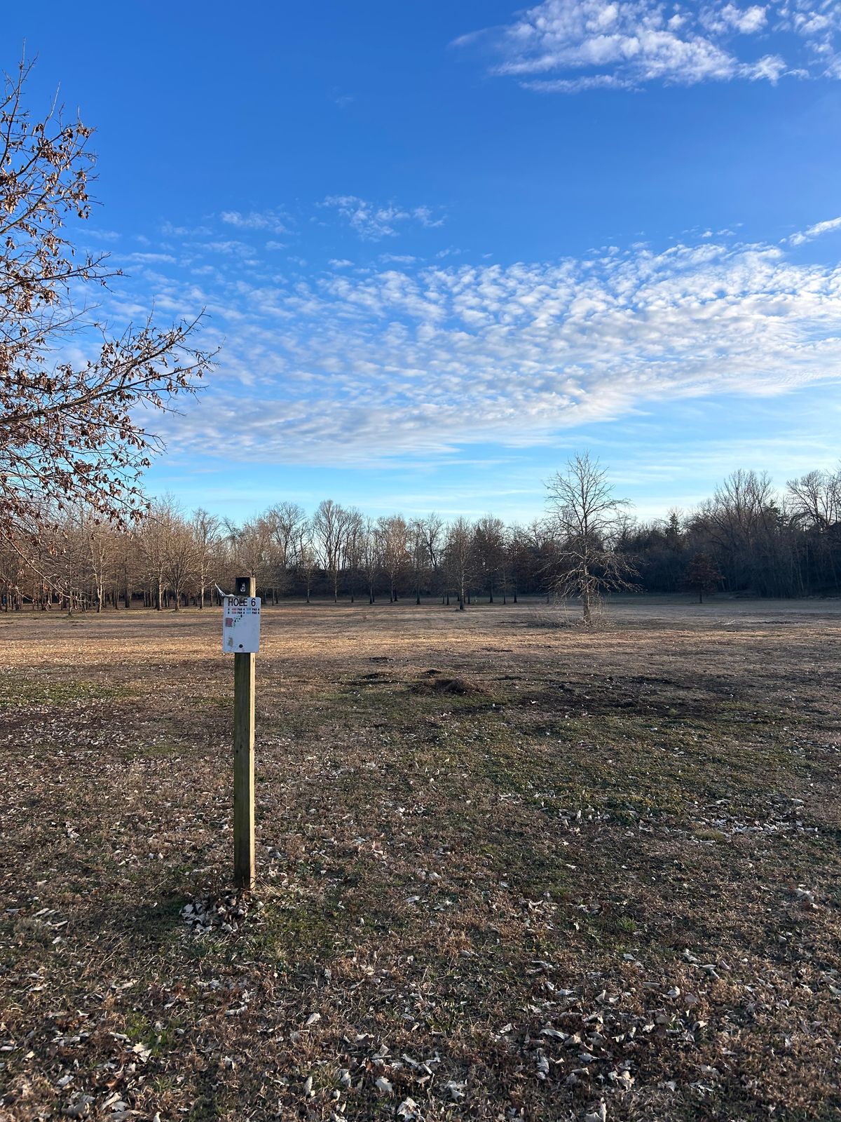Hole 6 has signage but no concrete tee-pads.