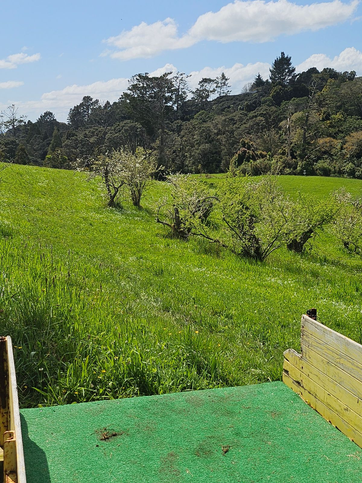 Off the long tee of hole 1