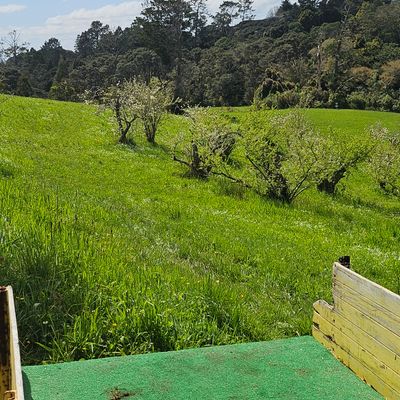Off the long tee of hole 1