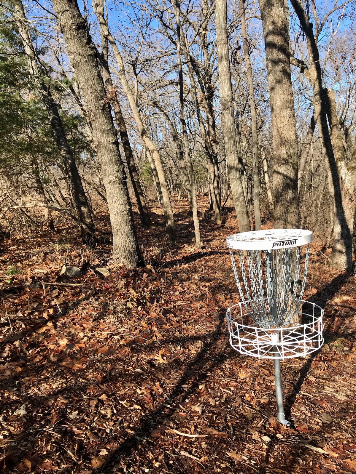 Hole 5 Basket to Tee
