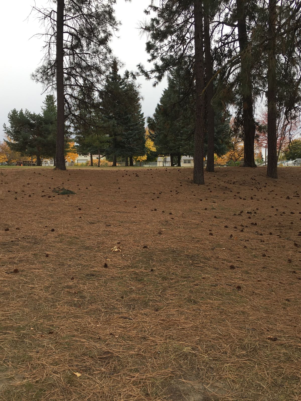 View from tee box of hole 3 (9 hole layout)