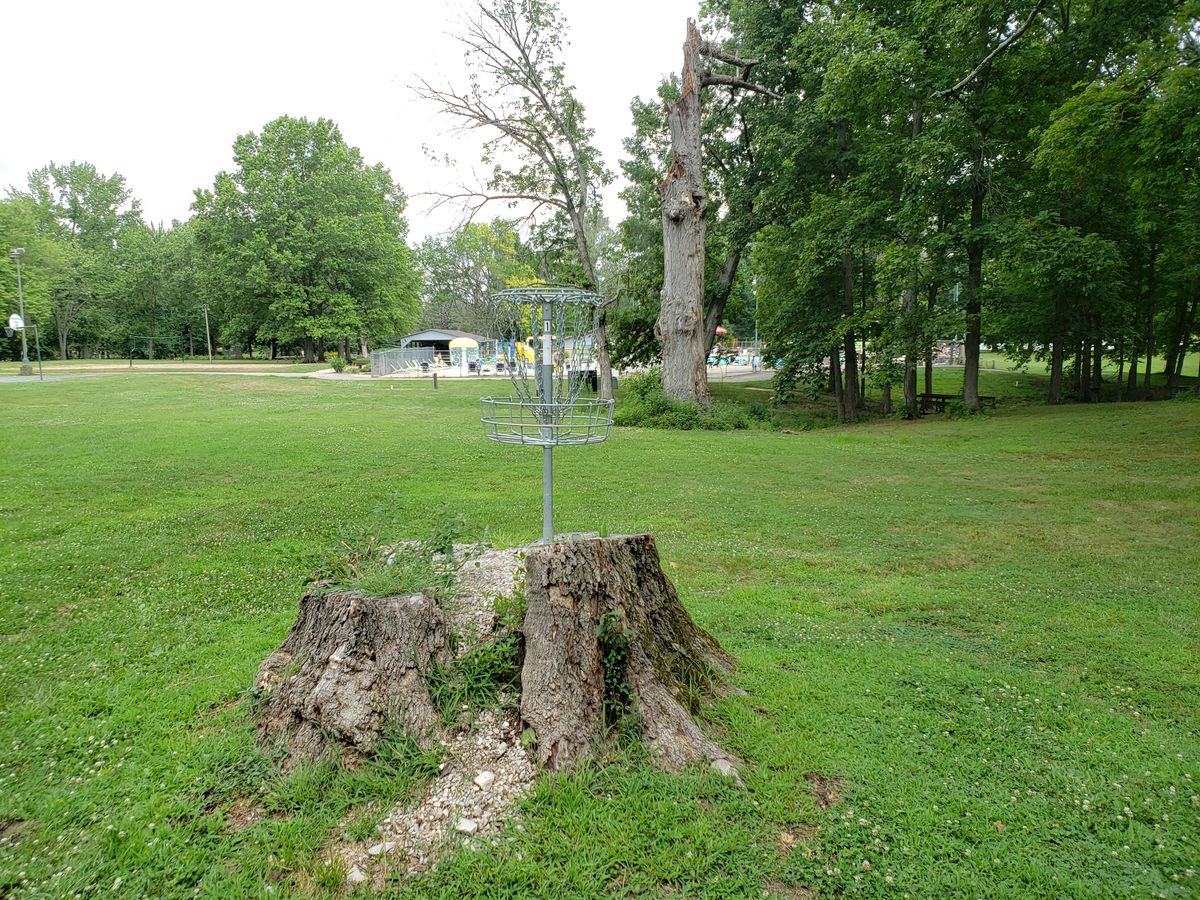 #1 Basket on old tree stump.