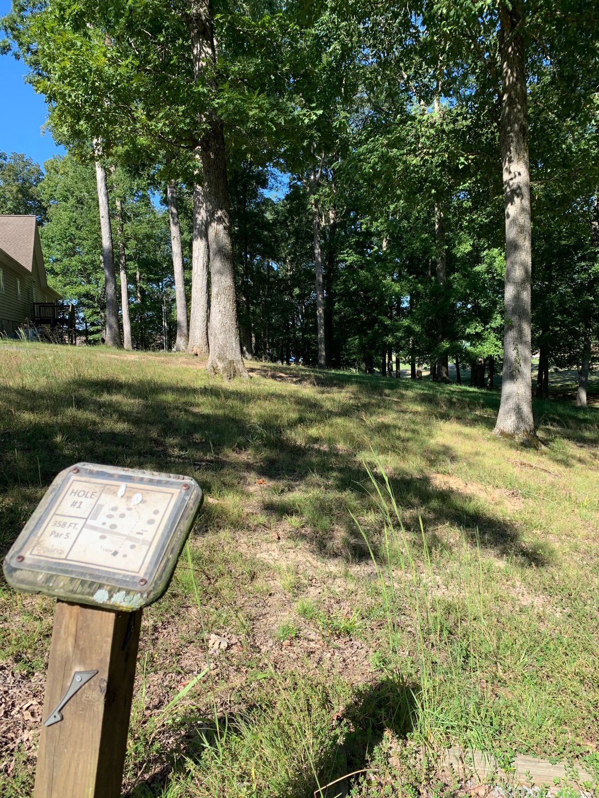 Hole 2 tee pad (originally marked as hole 1).