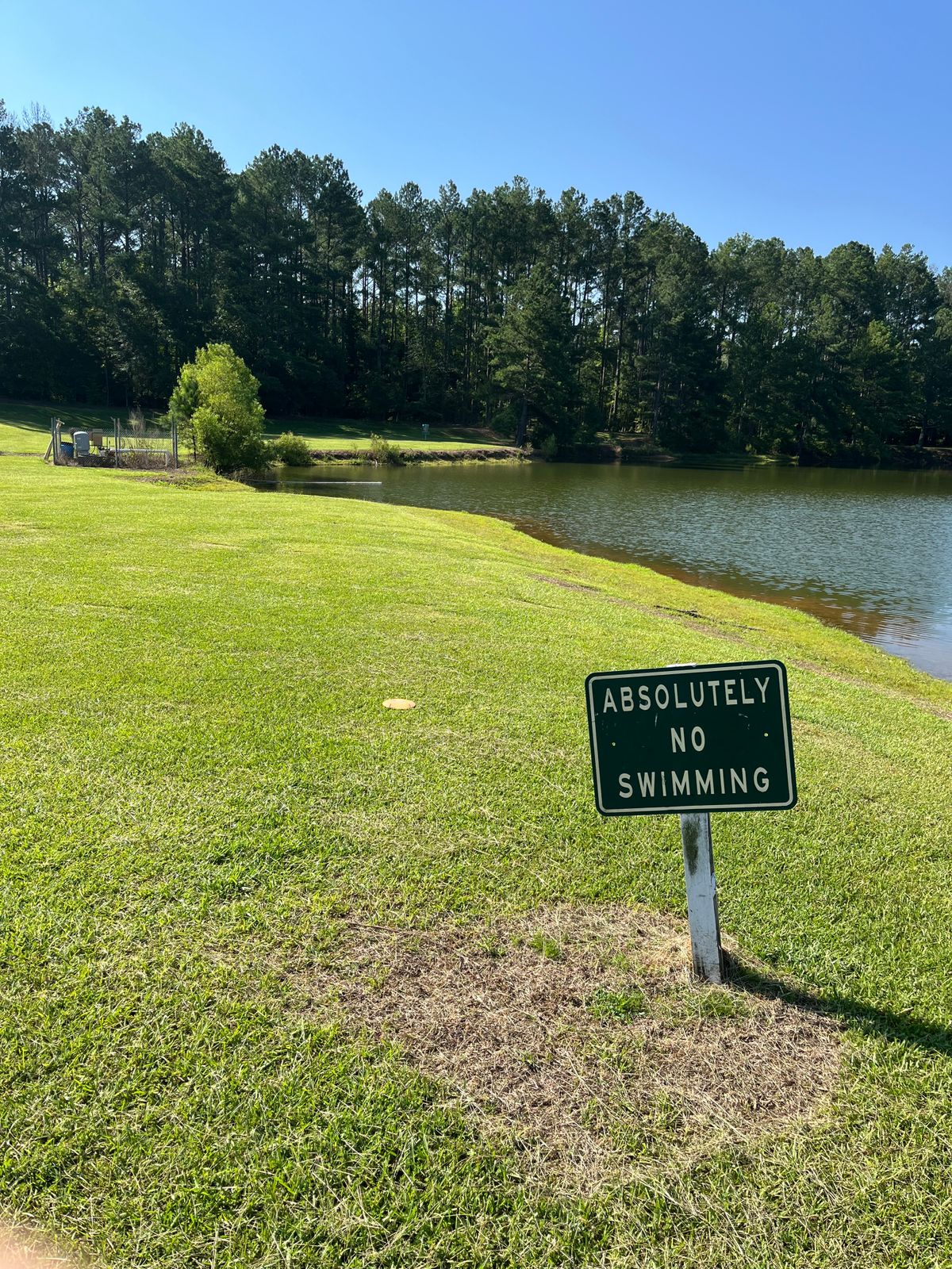 A good drive on hole #1 means no swimming for your disc.