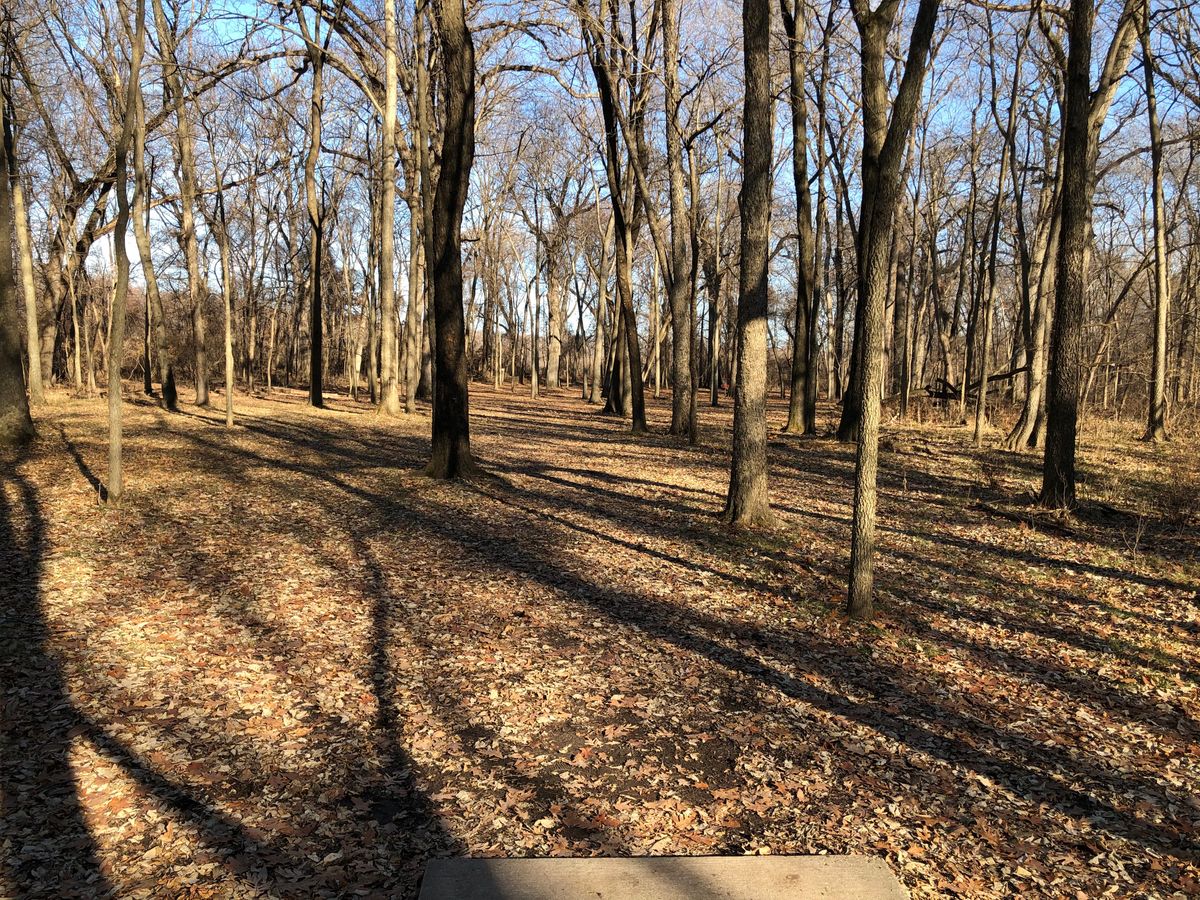 Hole 2, red pad.