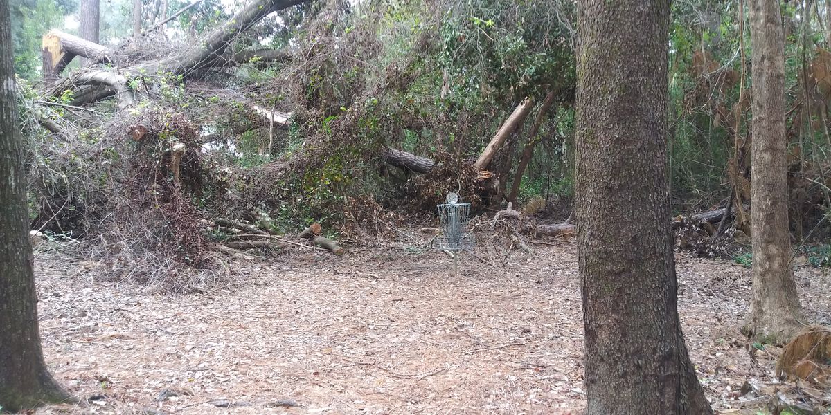 Hole #12 shortly after Hurricane Sally