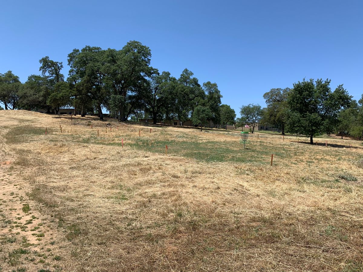 Tall Grass cleared.
