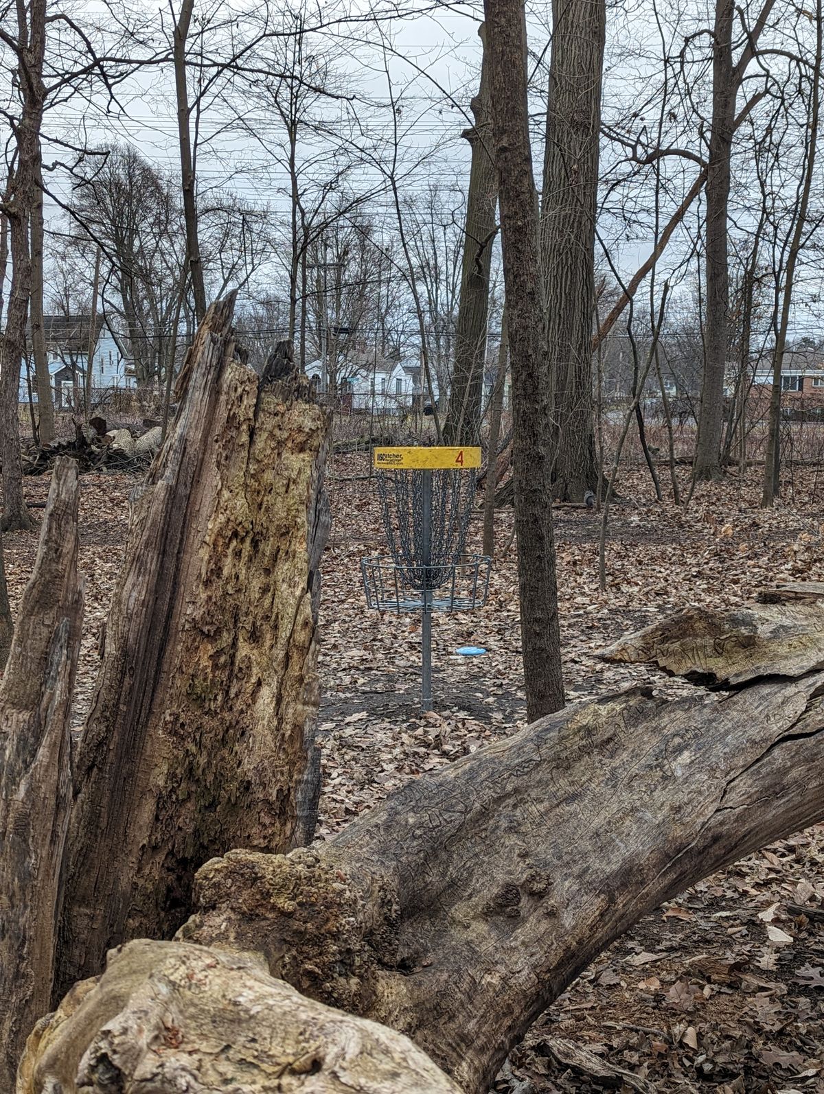 Hole #4