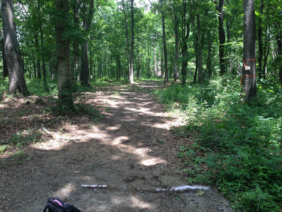 Hole 6