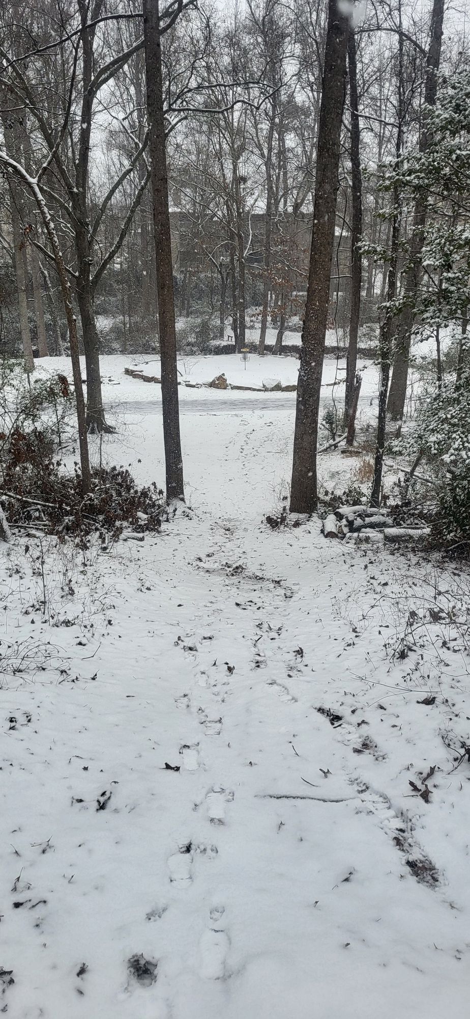 Hole 5