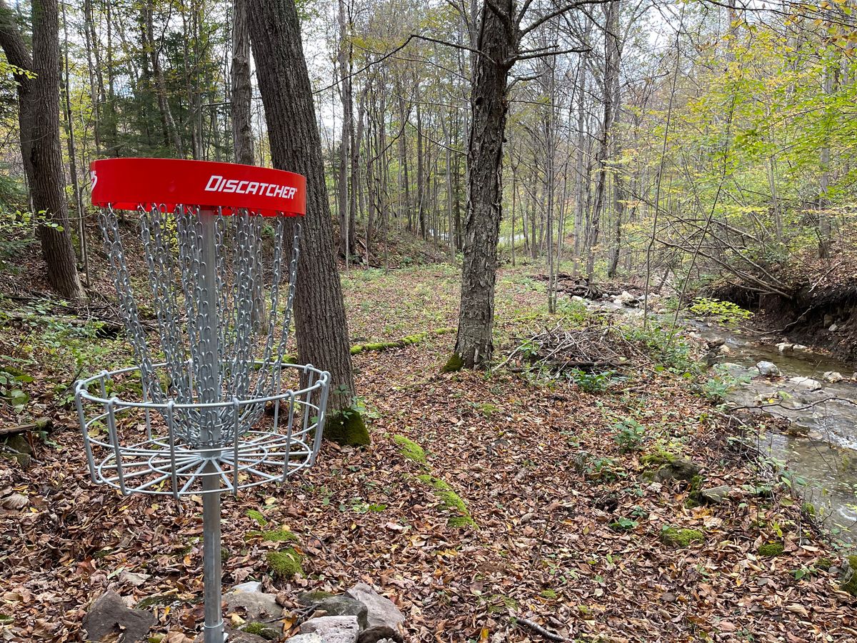 B Basket to Tee
