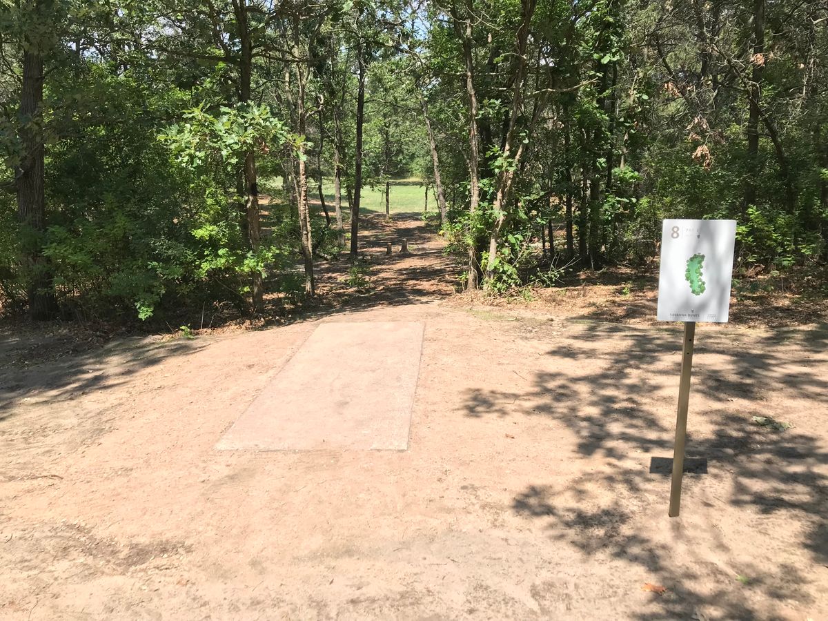 Hole 17 tee (old hole 8)