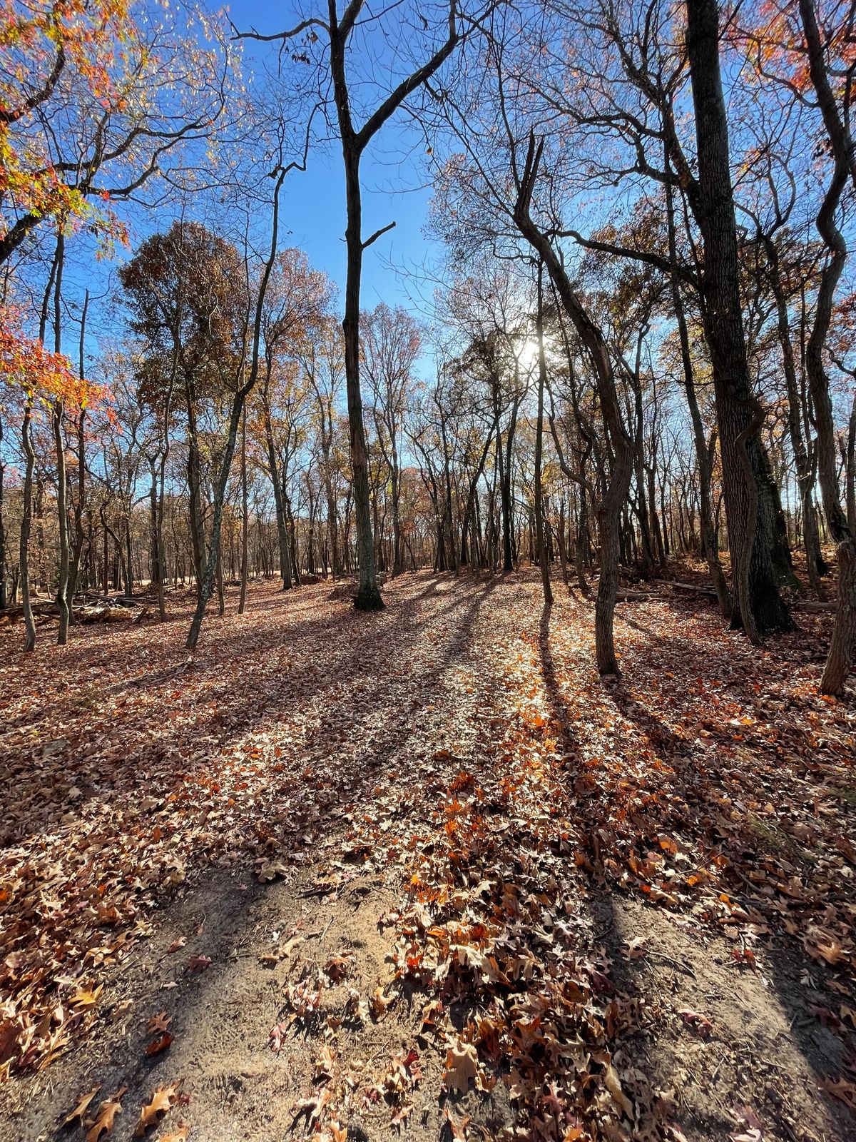 Mercer County West hole 6