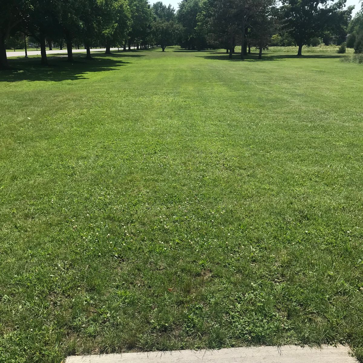 Hole 8