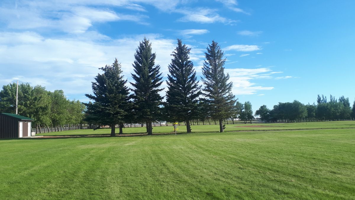 Fairway of hole 8. Hole 8 Basket in distance near trees.