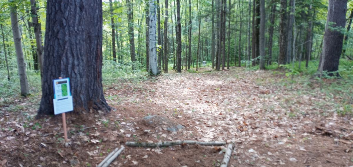 Hole#1