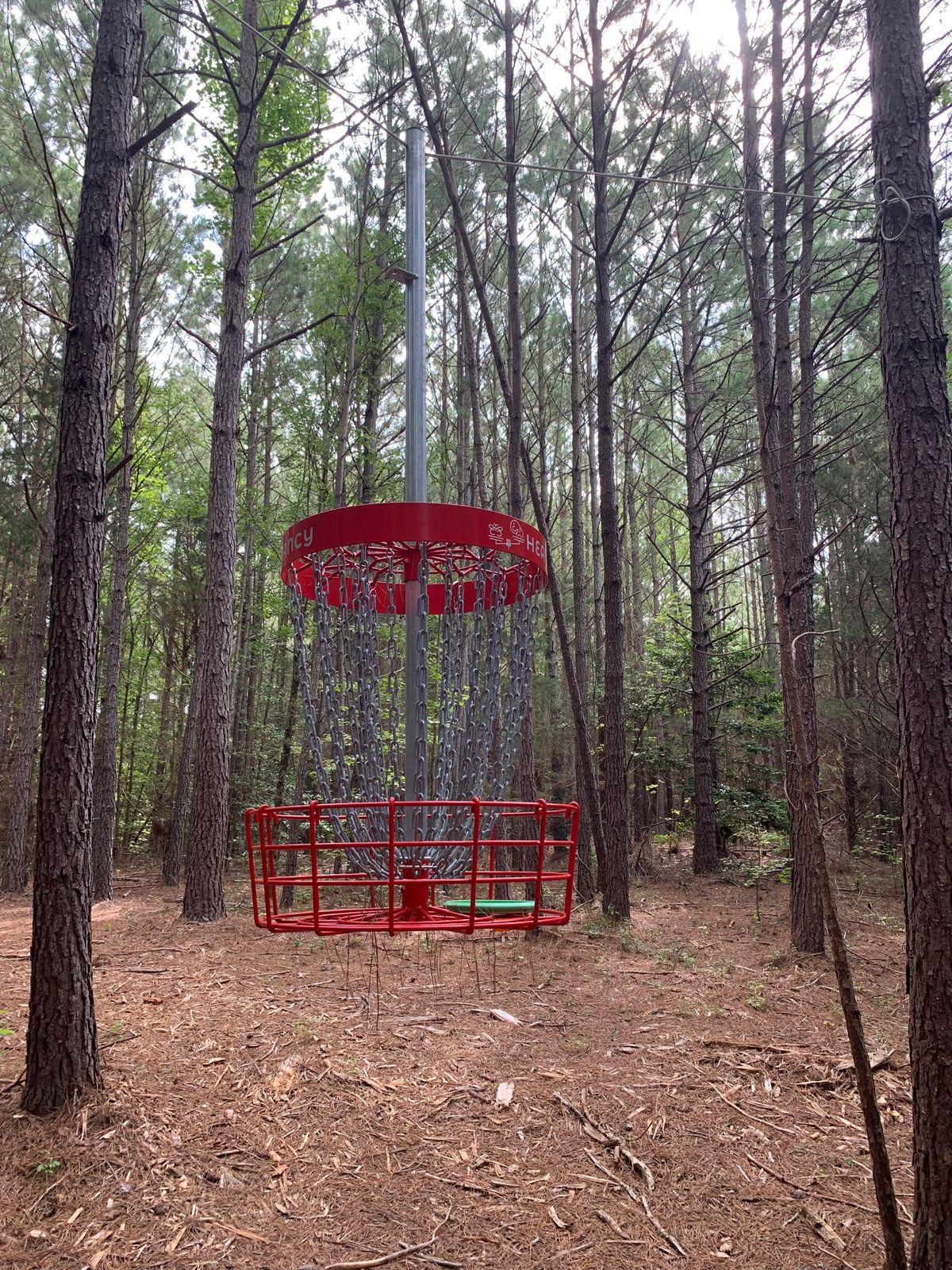The hanging basket of Hole 8 at Heavy and Fancy Disc Golf Course