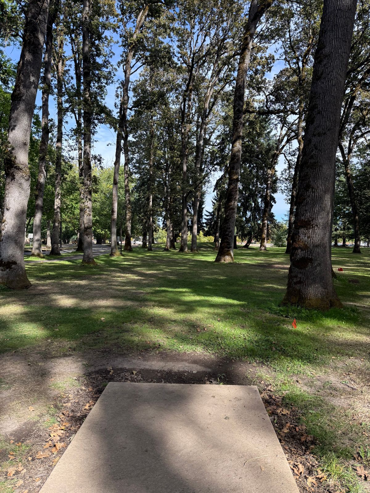 Many tee areas like this. Well manicured and nice.