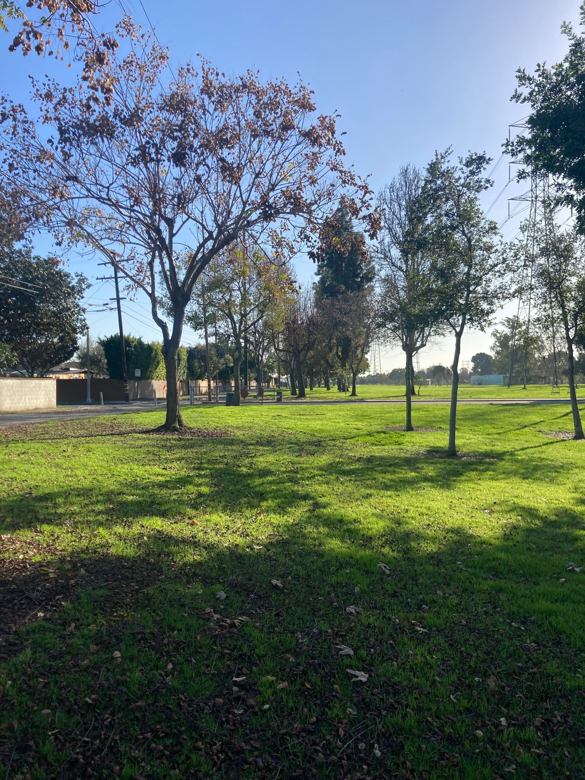 Hole 7 fairway