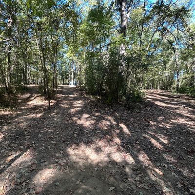 Hole 3 Fairway