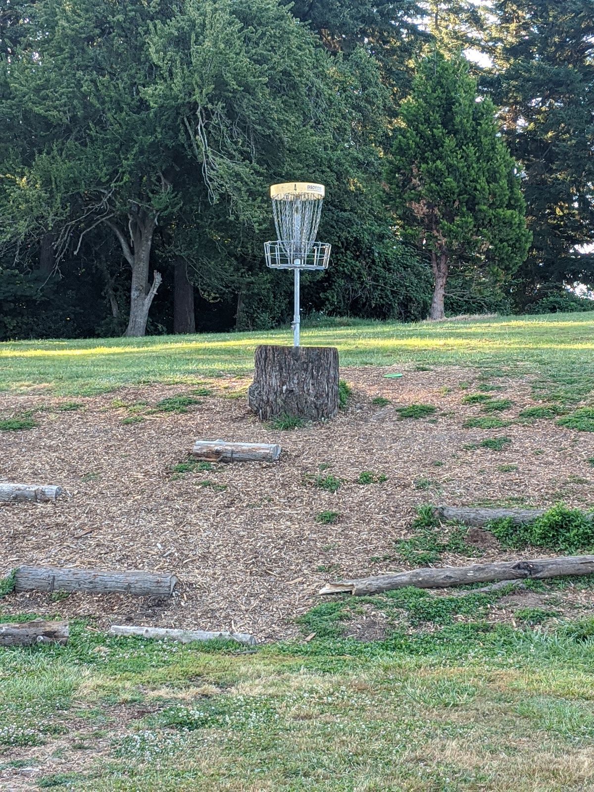 Portland Lunchtime DGC
