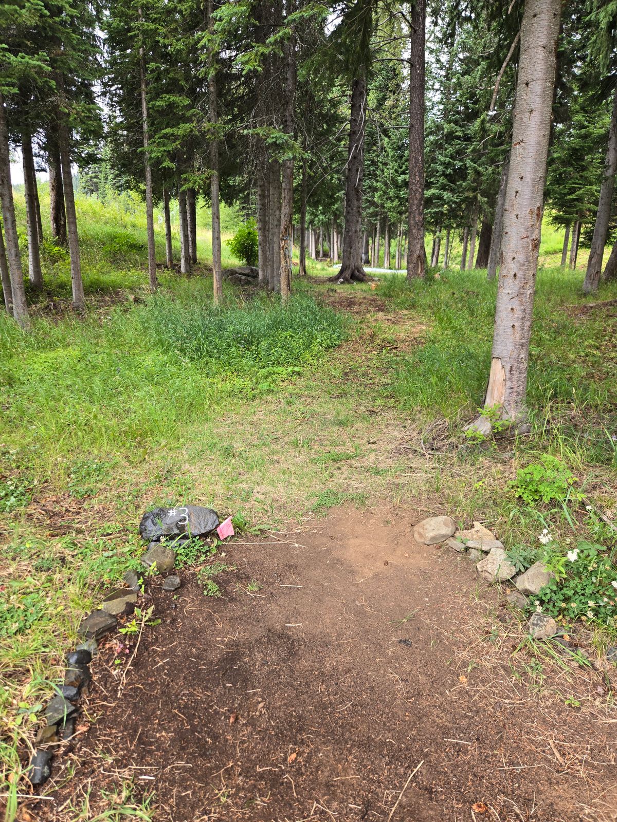 Hole 3 Tee pad