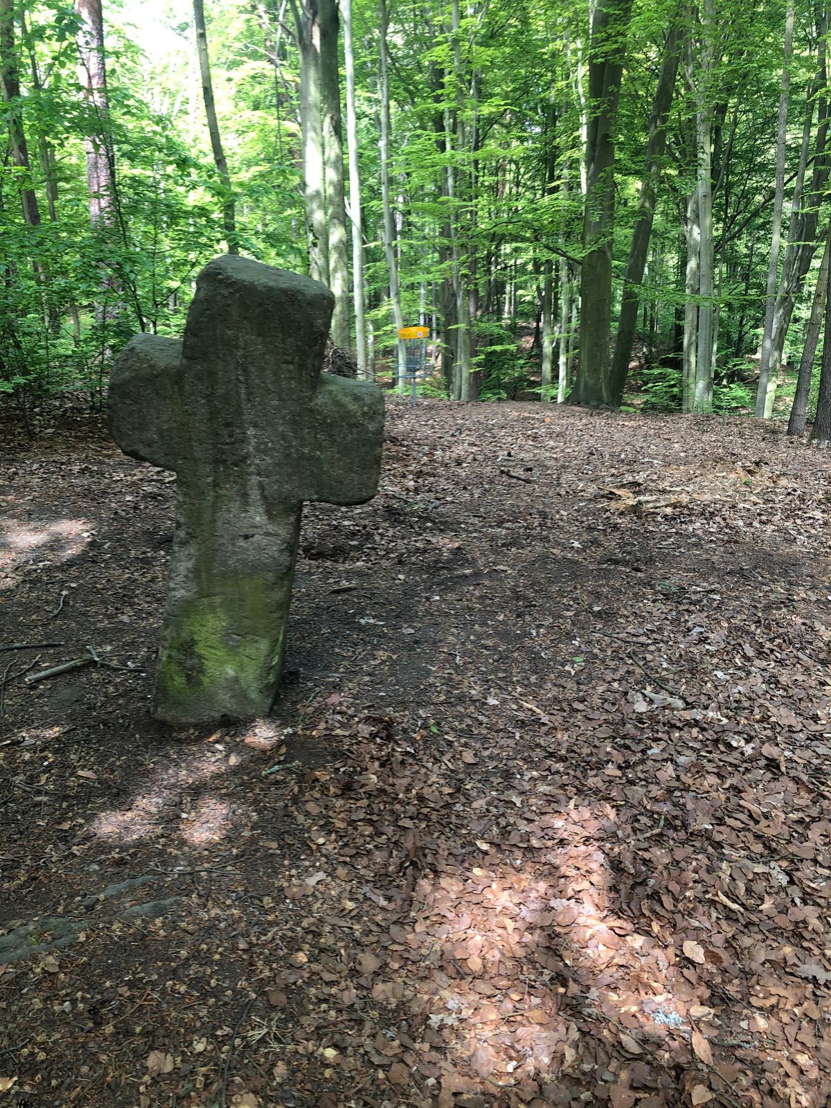 Hole 6