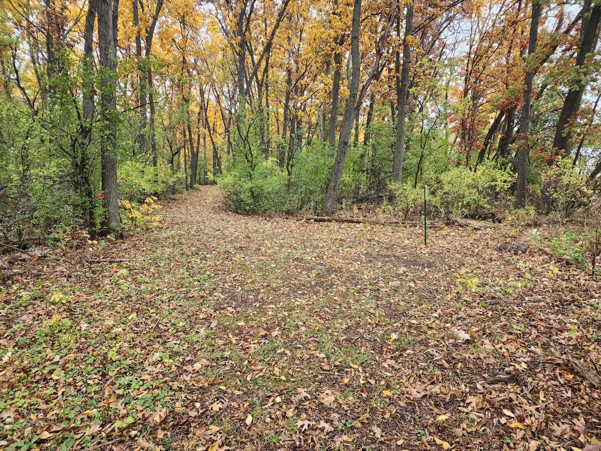Tee and basket for hole 4.