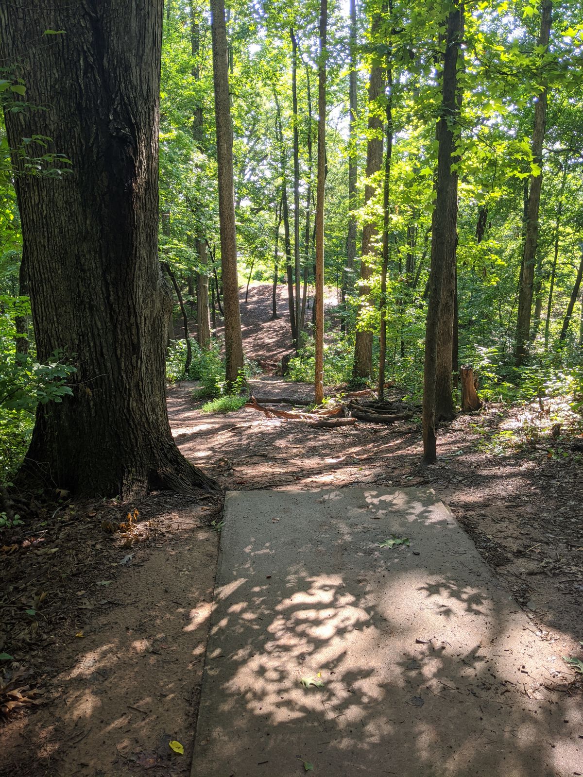 Hole 15 tee