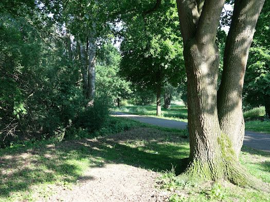 Tee 7