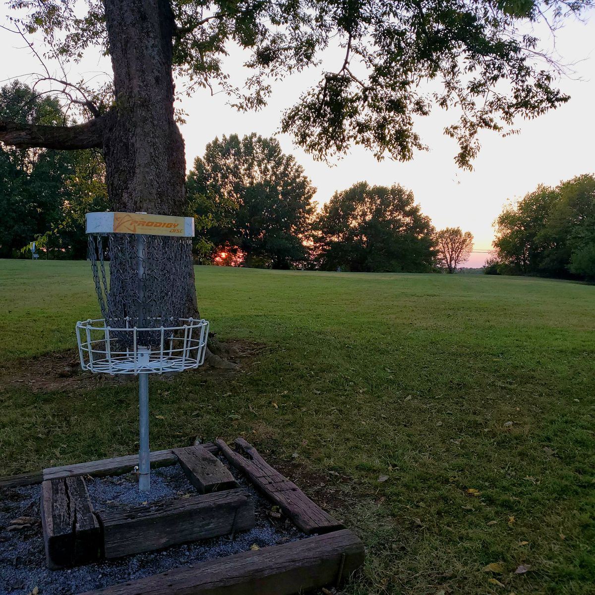 Hole 11 Baby Cane