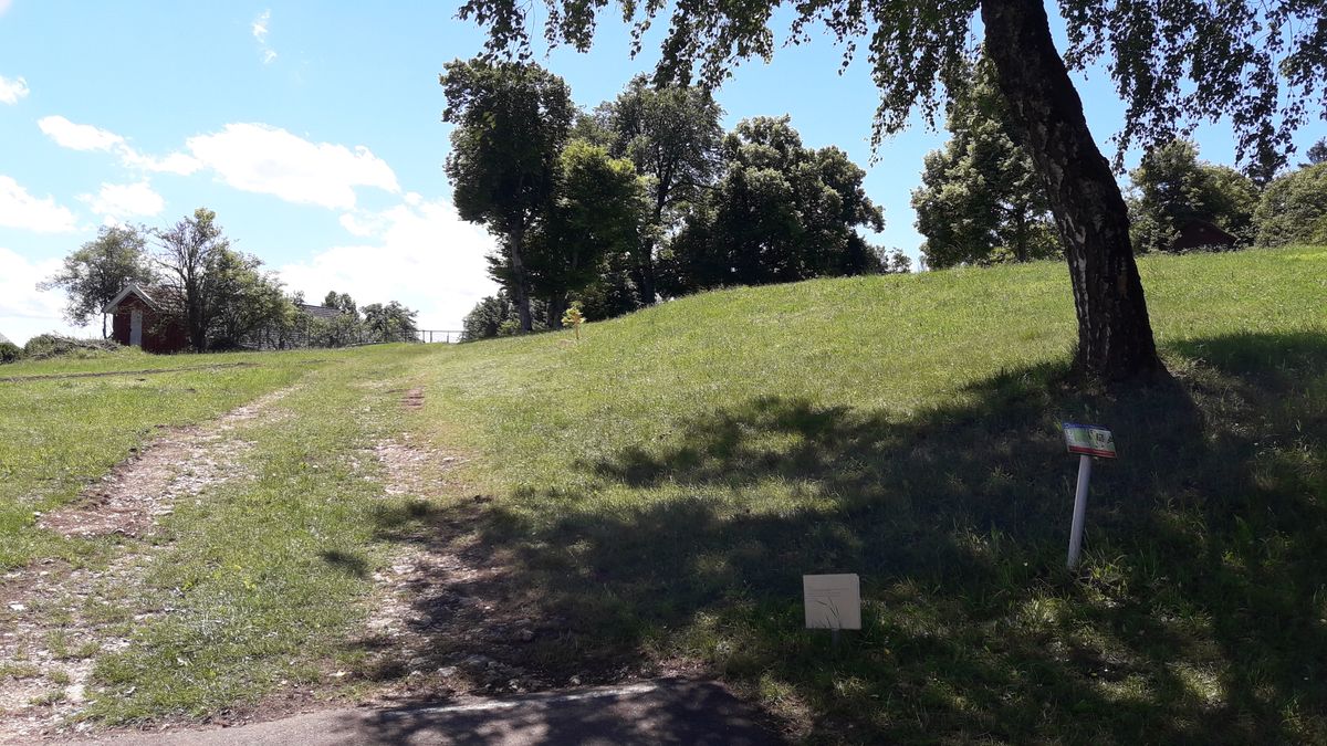 Hole 17 - the basket is within the large group of trees. It's a blind shot and lots of OB all around, were one might not get one's disc back