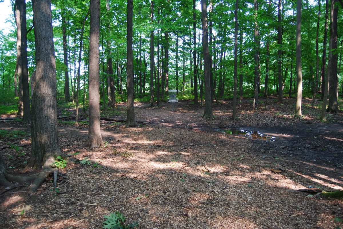 Hole 2 long position green area