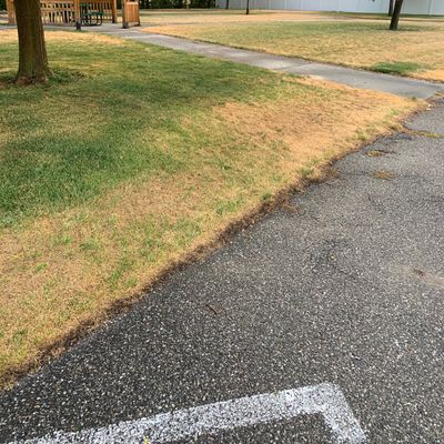 Hole 2 basket from tee pad