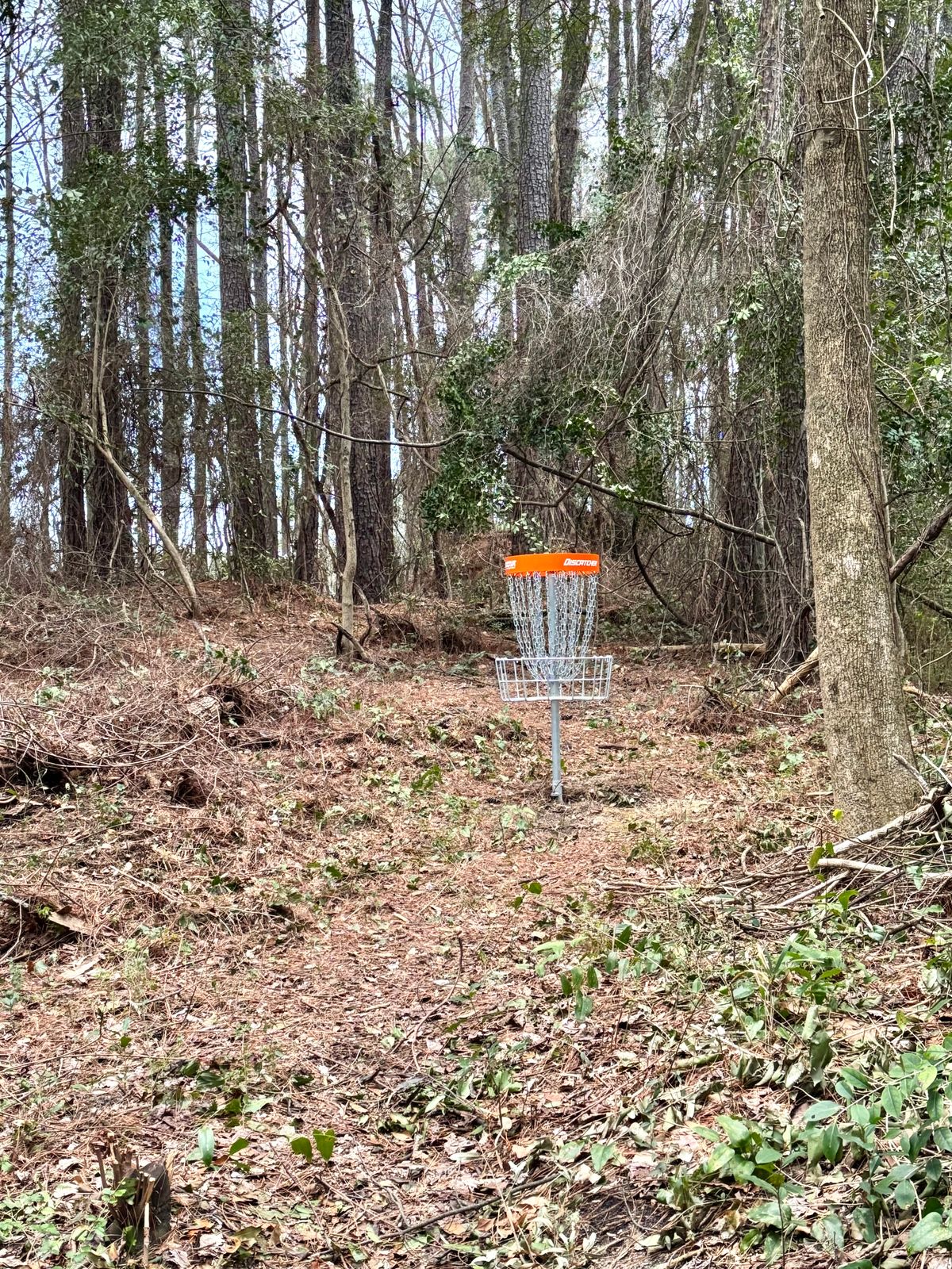 Hole 12 Basket