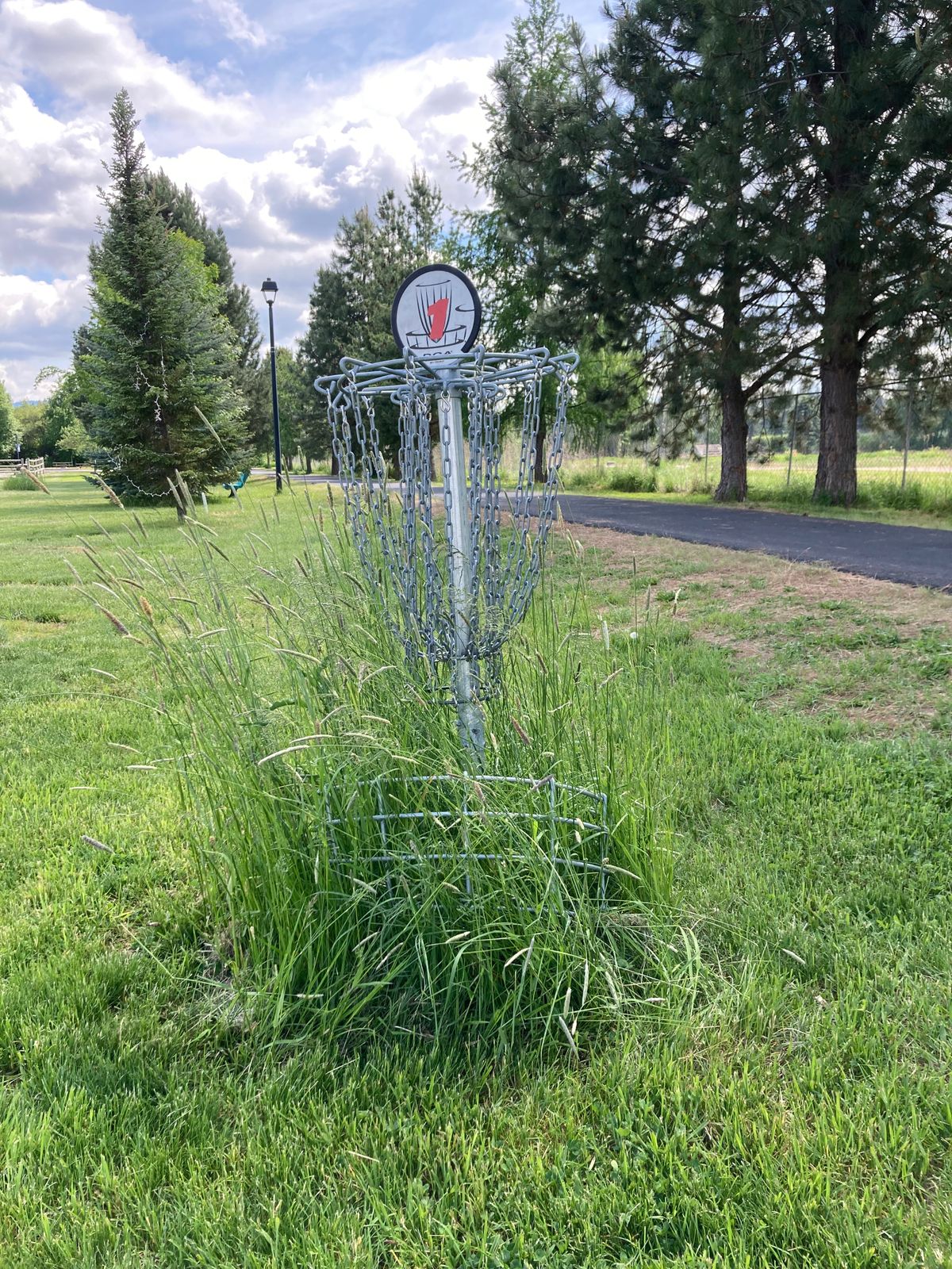 Hole #1 update (5/27/2023)